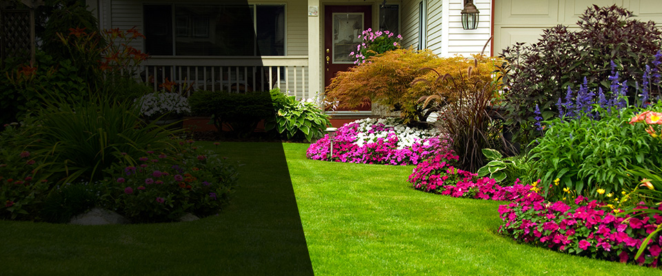 Newport Landscapers