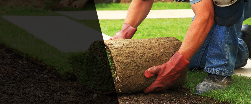 Newport Landscapers